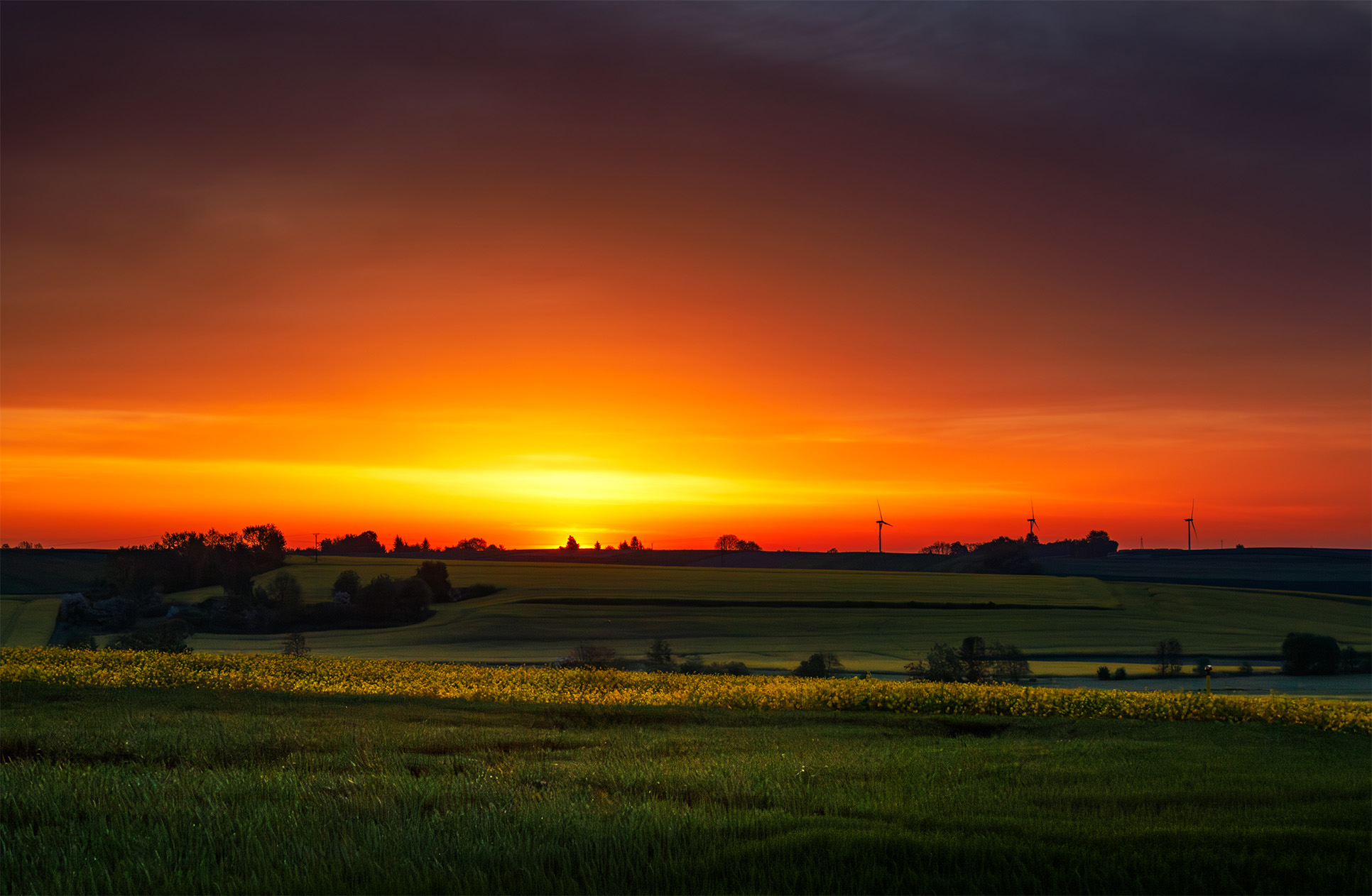 wschód słońca nad polami