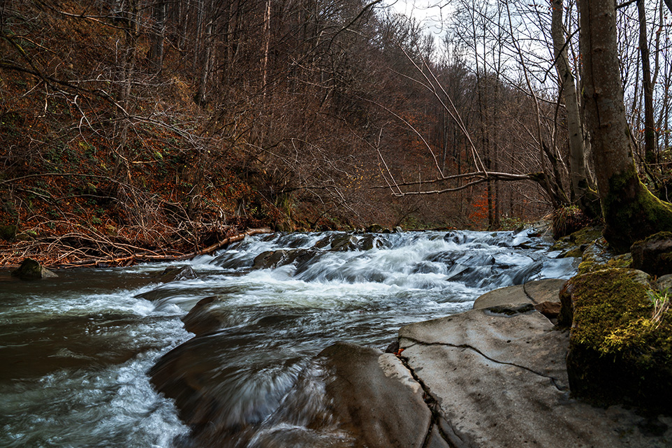 Bieszczady potok Nasiczny