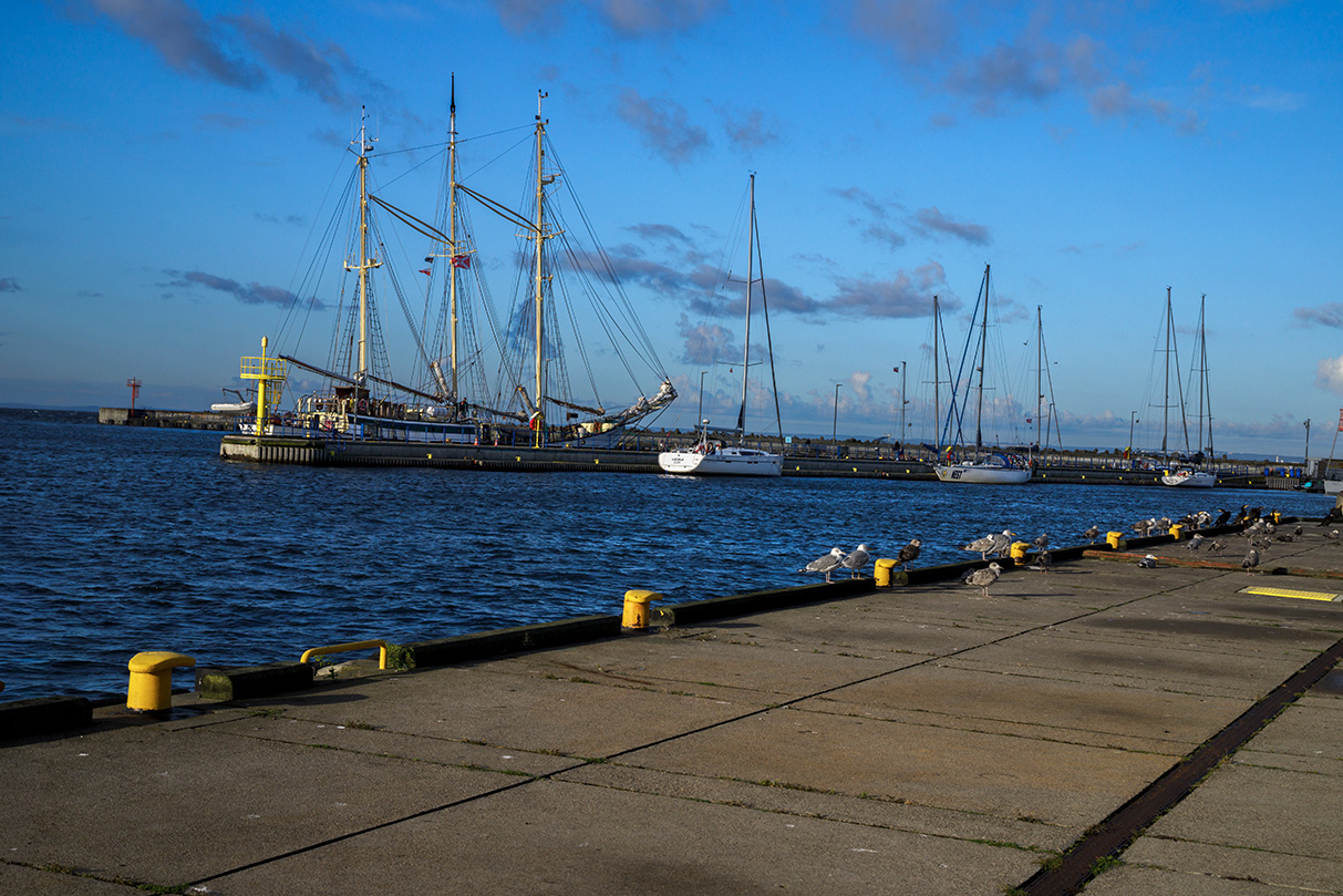 żaglowiec Zawisza Czarny w porcie na Helu
